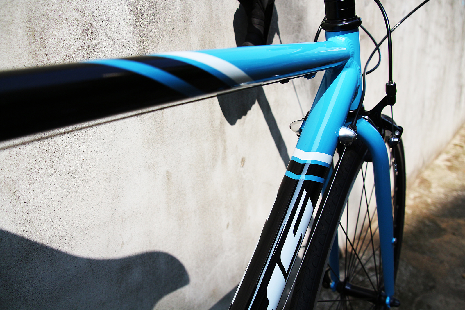 Flite 220 bike clearance